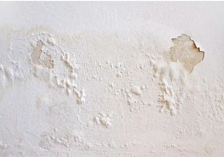 Πώς να αντιμετωπίσετε μουχλιασμένους, φουσκωμένους ή ξεφλουδισμένους τοίχους χωρίς να προσλάβετε επαγγελματία