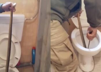 Ο φόβος και ο τρόμος: Έβγαλαν φίδι από λεκάνη τουαλέτας στην Καστοριά (video)