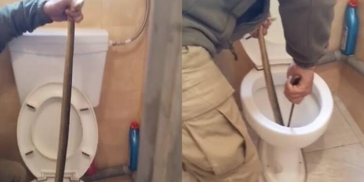 Ο φόβος και ο τρόμος: Έβγαλαν φίδι από λεκάνη τουαλέτας στην Καστοριά (video)