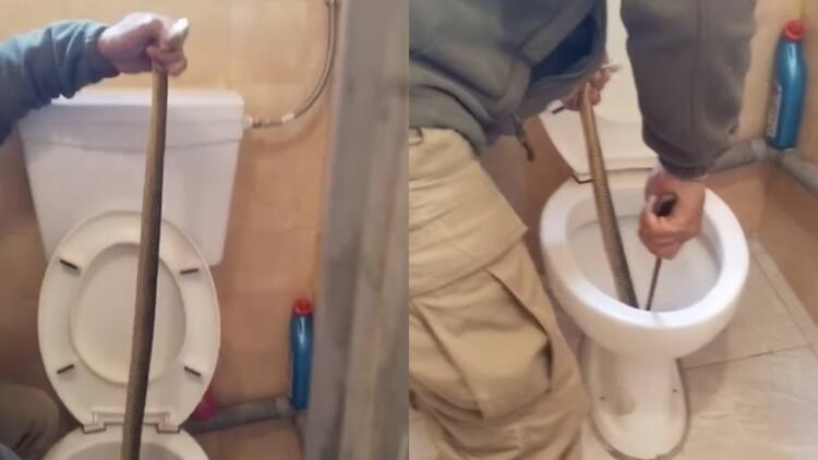 Ο φόβος και ο τρόμος: Έβγαλαν φίδι από λεκάνη τουαλέτας στην Καστοριά (video)