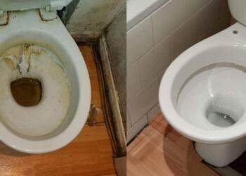 Καθαρισμός τουαλέτας: 4 τρόποι για να βγάλετε το πουρί από τη λεκάνη