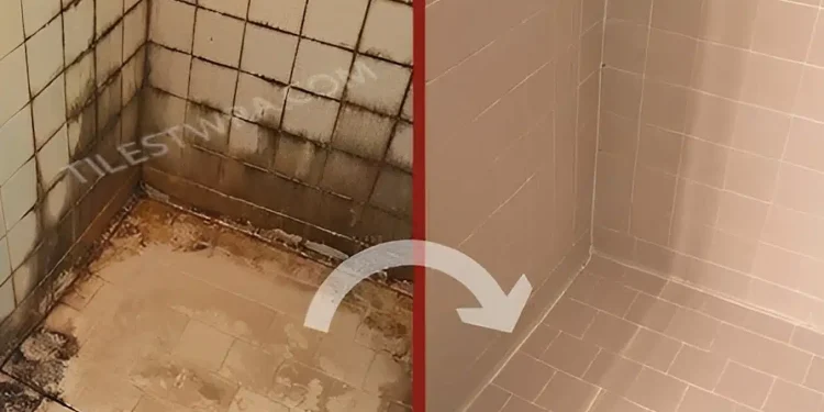 Πώς να απαλλαγείτε από τη μούχλα στο μπάνιο για τα καλά: στο ντους, στις κουρτίνες και στα πλακάκια