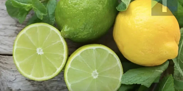 Πώς να διατηρήσετε τα λεμόνια φρέσκα για μεγάλο χρονικό διάστημα