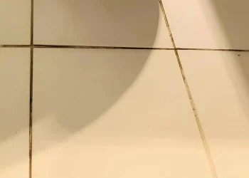 Πώς να αφαιρέσεις τη μαυρίλα ανάμεσα στα πλακάκια στο μπάνιο – Το κόλπο που ξέρουν λίγοι