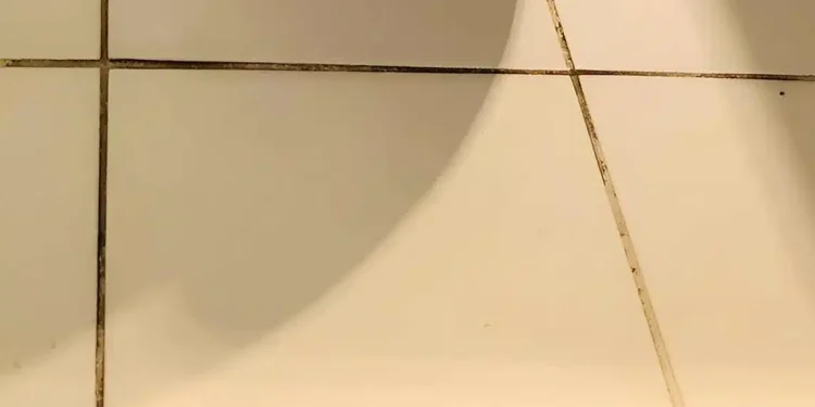 Πώς να αφαιρέσεις τη μαυρίλα ανάμεσα στα πλακάκια στο μπάνιο – Το κόλπο που ξέρουν λίγοι