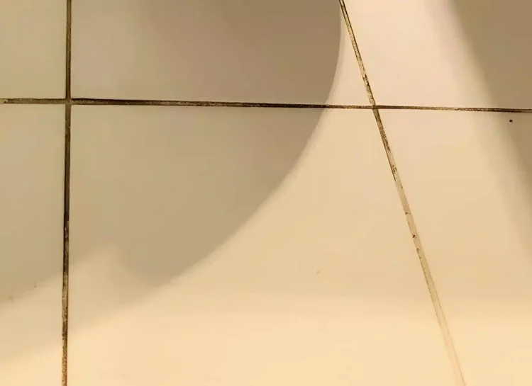 Πώς να αφαιρέσεις τη μαυρίλα ανάμεσα στα πλακάκια στο μπάνιο – Το κόλπο που ξέρουν λίγοι