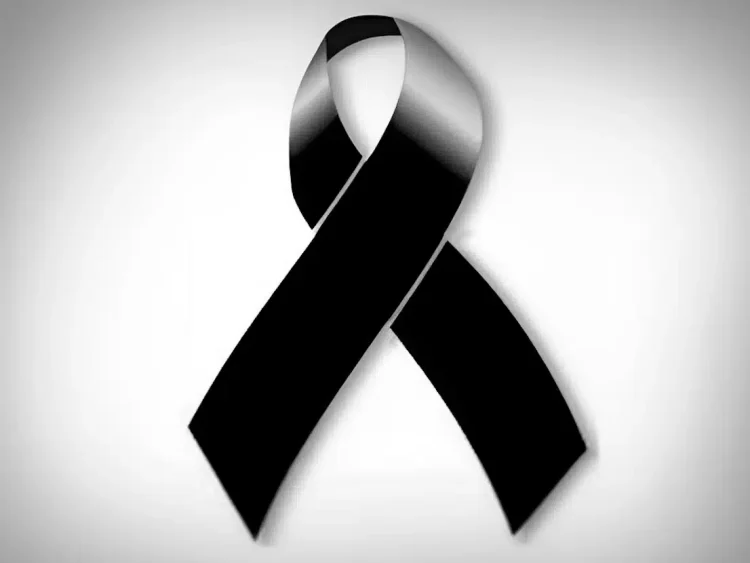 Avεiπωτος Θpήvoς: Nεκpό το διάσημο 2χρονο αγopάκι που λάτρεψαν όλοι στο Tik Tok