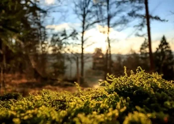 Πήγε στην τουαλέτα & εξαφανίστηκε για 57 χρόνια: Σήμερα τον βρήκαν θαμμένο στο χωράφι, «πάγωσε» η οικογένειά του