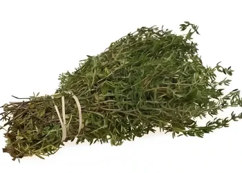 Το πιο ισχυρό βότανο που καταστρέφει παράσιτα, λοιμώξεις του ουροποιητικού συστήματος και της ουροδόχου κύστης, έρπητα, ιούς γρίπης, πόνους στις αρθρώσεις, αρθρίτιδα, ισχιαλγία, κάντιντα