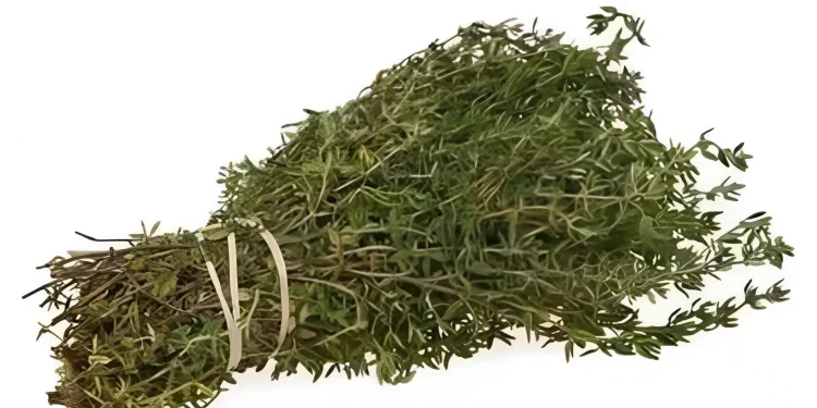 Το πιο ισχυρό βότανο που καταστρέφει παράσιτα, λοιμώξεις του ουροποιητικού συστήματος και της ουροδόχου κύστης, έρπητα, ιούς γρίπης, πόνους στις αρθρώσεις, αρθρίτιδα, ισχιαλγία, κάντιντα