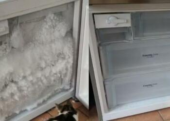 Απόψυξη εξπρές: Το έξυπνο tip για να καθαρίσετε τον πάγο από την κατάψυξη και να την κάνετε σαν καινούργια