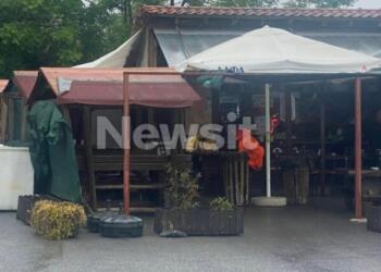 Νέα τραγωδία: Βρέθηκε νεκρό βρέφος δίπλα σε κάδο σκουπιδιών πίσω από καντίνα