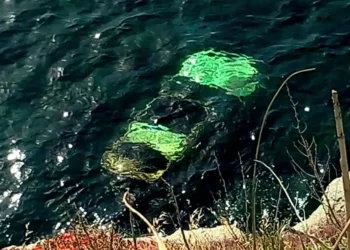 Τpαγωδία στην χώρα μας – Γυναίκα έπεσε με το αυτοκίνητό της στη θάλασσα