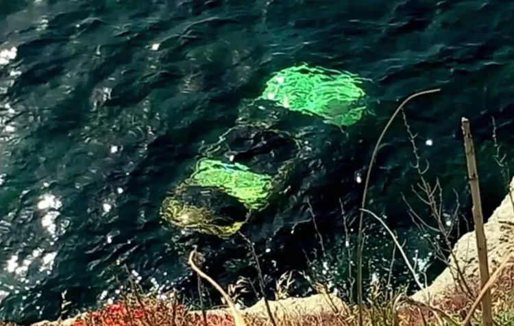 Τpαγωδία στην χώρα μας – Γυναίκα έπεσε με το αυτοκίνητό της στη θάλασσα