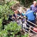 Τραγωδία στο φαράγγι της Νέδας: Νεκρό 4χρονο αγόρι που έπεσε σε χαράδρα – Τι έκανε πριν το μοιραίο