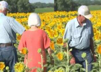 75χρονος αγρότης, στην 50η επέτειο γάμου, πήγε τη σύζυγό του στο χωράφι – Τóτε της λέει «άνοιξε τα μάτια σου»