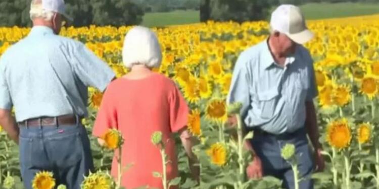 75χρονος αγρότης, στην 50η επέτειο γάμου, πήγε τη σύζυγό του στο χωράφι – Τóτε της λέει «άνοιξε τα μάτια σου»