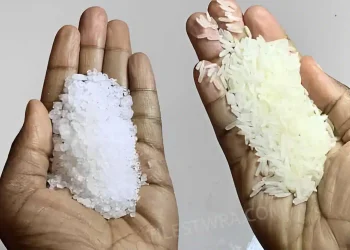 Ανακατέψτε ρύζι και αλάτι: Ένα κρυμμένο σπιτικό μυστικό