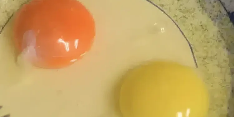 Τι σημαίνει αν ο κρόκος ενός αυγού είναι κίτρινος ή πορτοκαλί – Ποιος είναι ο πιο υγιεινός