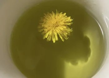 To ρόφημα που πίνουν τα μοντέλα για επίπεδη κοιλιά πριν την πασαρέλα – Με 2 υλικά, καθαρίζει το έντερο