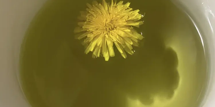 To ρόφημα που πίνουν τα μοντέλα για επίπεδη κοιλιά πριν την πασαρέλα – Με 2 υλικά, καθαρίζει το έντερο