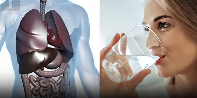 Γιατί πρέπει να πίνετε νερό με άδειο στομάχι αμέσως όταν ξυπνάτε