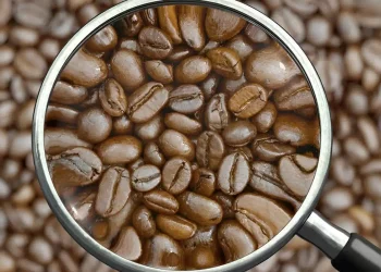 Τι πρέπει να προσέξετε όταν αγοράζετε καφέ – Γαστρεντερολόγος αποκαλύπτει το μυστικό