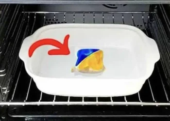 Το εύκολο κόλπο καθαρισμού φούρνου: Εξαφανίστε το καμένο λίπος σε χρόνο μηδέν