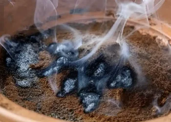 Λειτουργεί καλύτερα από τα βιομηχανικά απωθητικά, είναι μη τοξικό και είναι το πιο αποτελεσματικό κόλπο για την εξάλειψη των κουνουπιών από μπαλκόνια και κήπους