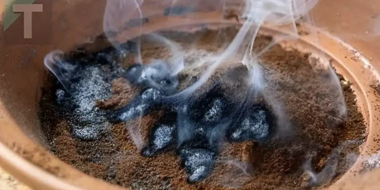 Λειτουργεί καλύτερα από τα βιομηχανικά απωθητικά, είναι μη τοξικό και είναι το πιο αποτελεσματικό κόλπο για την εξάλειψη των κουνουπιών από μπαλκόνια και κήπους