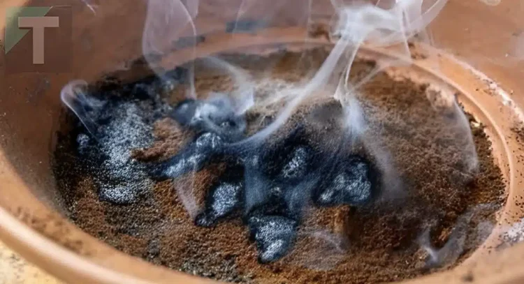 Λειτουργεί καλύτερα από τα βιομηχανικά απωθητικά, είναι μη τοξικό και είναι το πιο αποτελεσματικό κόλπο για την εξάλειψη των κουνουπιών από μπαλκόνια και κήπους