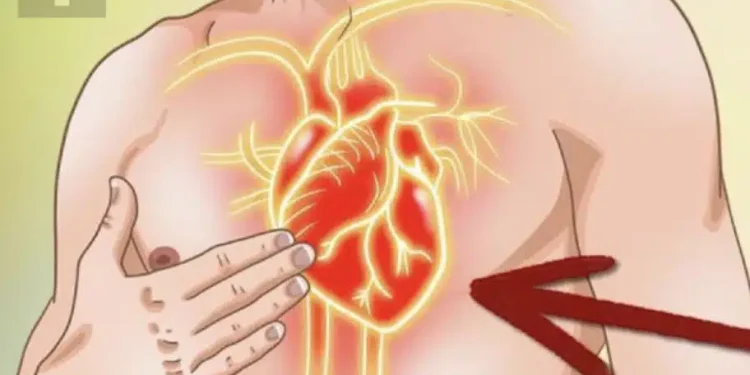 6 βιταμίνες που βοηθούν να αποφράξετε τις αρτηρίες σας