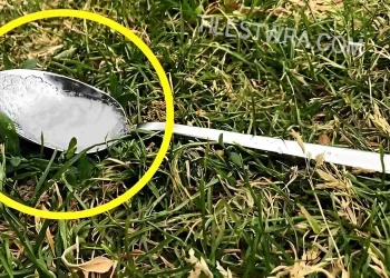 Να γιατί πρέπει να αφήνουμε ένα κουταλάκι με ζάχαρη στην αυλή μας ή στο μπαλκόνι σας όταν δε είμαστε σπίτι