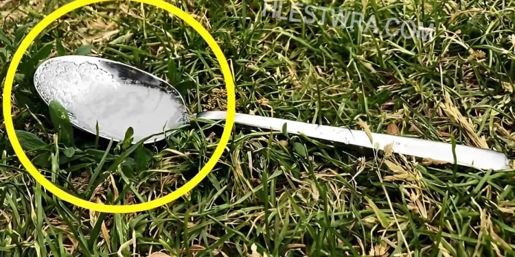 Να γιατί πρέπει να αφήνουμε ένα κουταλάκι με ζάχαρη στην αυλή μας ή στο μπαλκόνι σας όταν δε είμαστε σπίτι