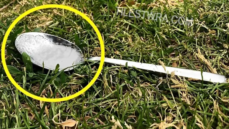 Να γιατί πρέπει να αφήνουμε ένα κουταλάκι με ζάχαρη στην αυλή μας ή στο μπαλκόνι σας όταν δε είμαστε σπίτι