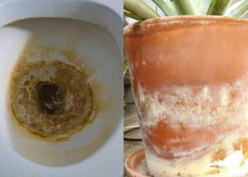 Άλατα στη λεκάνη και την μπανιέρα; – Ένα μόνο καθαριστικό αρκεί για να αντιμετωπίσετε σχεδόν τα πάντα!