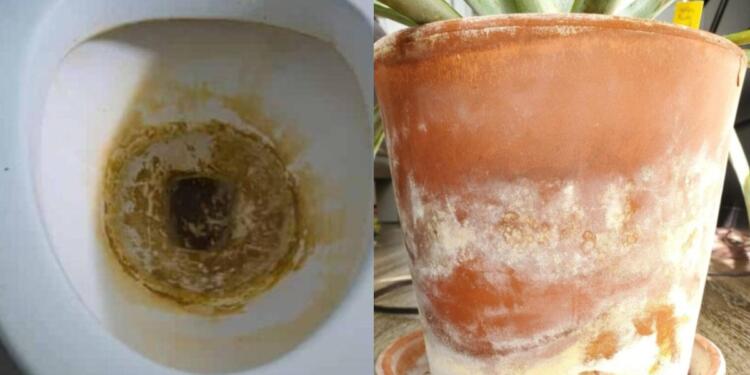 Άλατα στη λεκάνη και την μπανιέρα; – Ένα μόνο καθαριστικό αρκεί για να αντιμετωπίσετε σχεδόν τα πάντα!