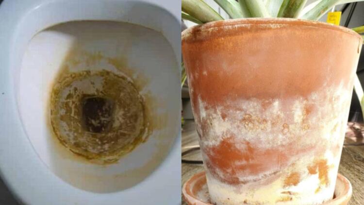 Άλατα στη λεκάνη και την μπανιέρα; – Ένα μόνο καθαριστικό αρκεί για να αντιμετωπίσετε σχεδόν τα πάντα!