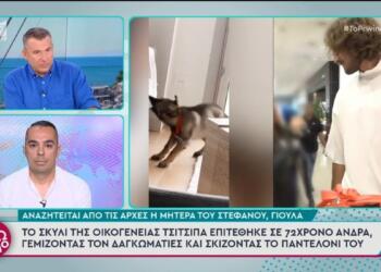 Στέφανος Τσιτσιπάς: Η μητέρα του είναι η ιδιοκτήτρια του σκύλου που επιτέθηκε σε περαστικό – «Γιατί πέρασες από εκεί» φέρεται να είπε στον τραυματία