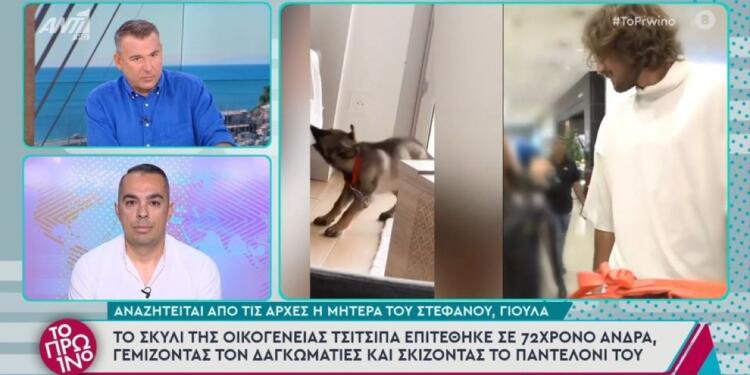 Στέφανος Τσιτσιπάς: Η μητέρα του είναι η ιδιοκτήτρια του σκύλου που επιτέθηκε σε περαστικό – «Γιατί πέρασες από εκεί» φέρεται να είπε στον τραυματία
