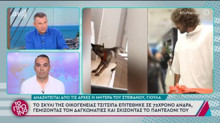 Στέφανος Τσιτσιπάς: Η μητέρα του είναι η ιδιοκτήτρια του σκύλου που επιτέθηκε σε περαστικό – «Γιατί πέρασες από εκεί» φέρεται να είπε στον τραυματία