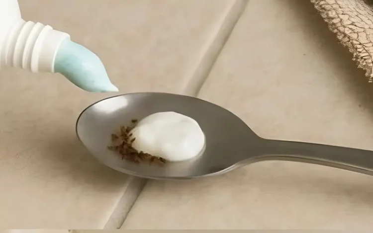 Βάλτε το στο σπίτι σας για 1 ώρα και δεν θα ξαναδείτε μύγες, κουνούπια ή κατσαρίδες