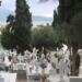 Σοκ στο νεκροταφείο Καλαμαριάς – Πήγε να κάνει εκταφή τον πατέρα του και είδε να τον μεταφέρουν τυλιγμένο σε σεντόνι μέσα σε…