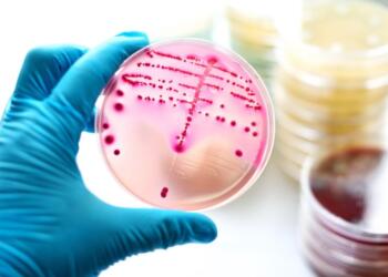 Στρεπτόκοκκος – Ποια συμπτώματα δεν πρέπει να αγνοείτε