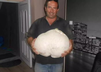 Σοκ Γρεβενά: Περπατούσε στο βουνό και έπεσε πάνω σε μια εικόνα που δεν θα ξεχάσει ποτέ [pics]