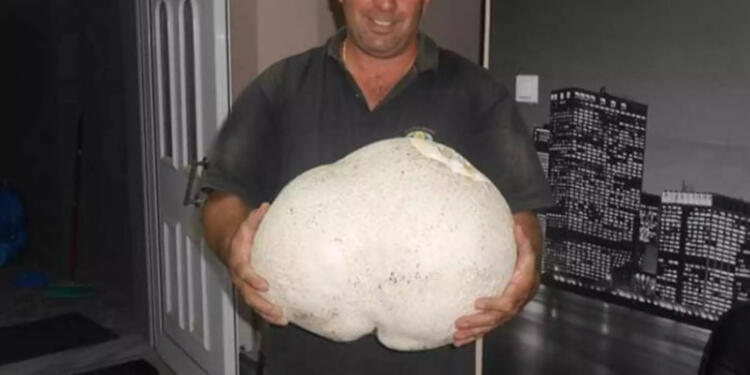 Σοκ Γρεβενά: Περπατούσε στο βουνό και έπεσε πάνω σε μια εικόνα που δεν θα ξεχάσει ποτέ [pics]