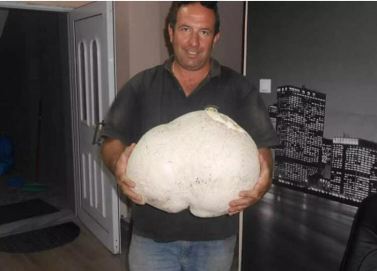 Σοκ Γρεβενά: Περπατούσε στο βουνό και έπεσε πάνω σε μια εικόνα που δεν θα ξεχάσει ποτέ [pics]