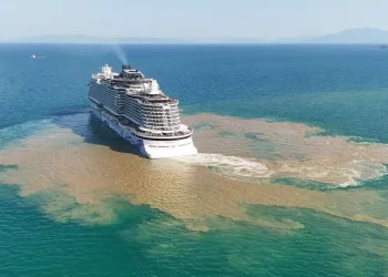 Βόλος: Το αποχαιρετιστήριο «δώρο» που «άφησε» πίσω του το κρουαζιερόπλοιο NORWEGIAN