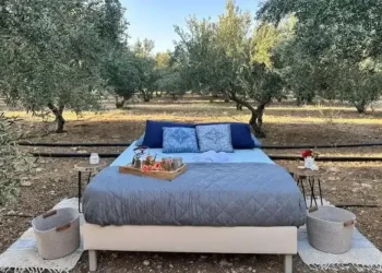Κρήτη: Νοικιάζουν κρεβάτι μέσα στις… ελιές από 106 έως 126 εupώ το βράδυ – Οι δραστηριότητες και οι τıμές τους`