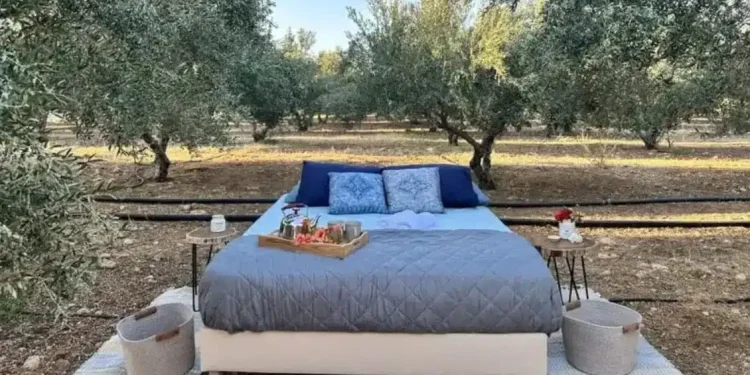 Κρήτη: Νοικιάζουν κρεβάτι μέσα στις… ελιές από 106 έως 126 εupώ το βράδυ – Οι δραστηριότητες και οι τıμές τους`